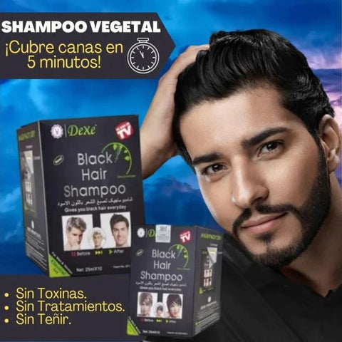 Image of SHAMPOO ANTI CANAS 2X1